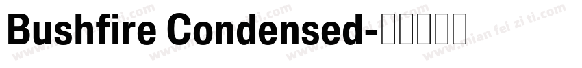 Bushfire Condensed字体转换